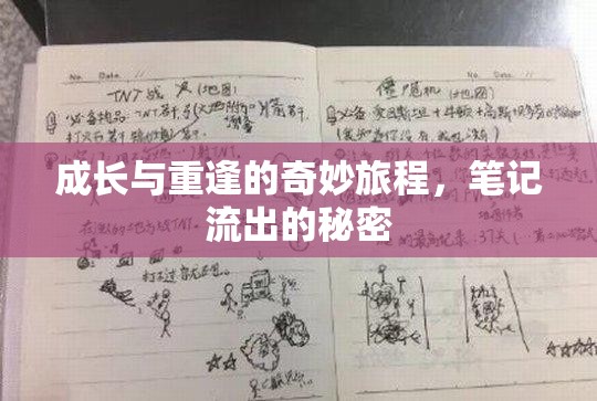 成長(zhǎng)與重逢的奇妙旅程，筆記流出的秘密