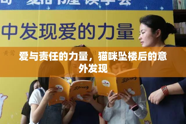愛與責(zé)任的力量，貓咪墜樓后的意外發(fā)現(xiàn)