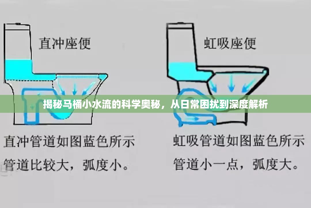 揭秘馬桶小水流的科學奧秘，從日常困擾到深度解析