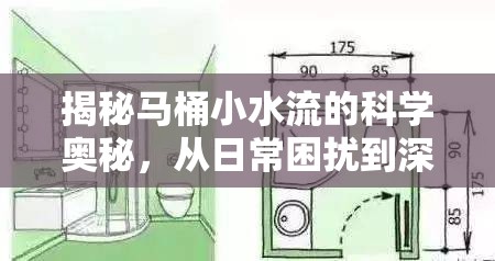 揭秘馬桶小水流的科學奧秘，從日常困擾到深度解析