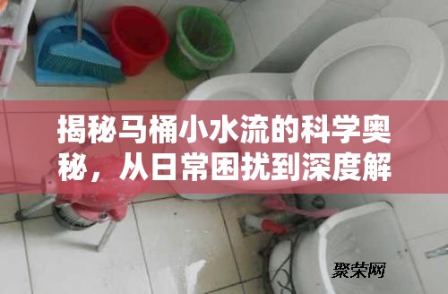 揭秘馬桶小水流的科學奧秘，從日常困擾到深度解析