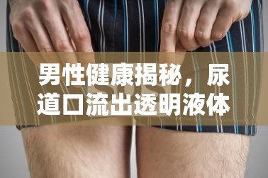 男性健康揭秘，尿道口流出透明液體的真相