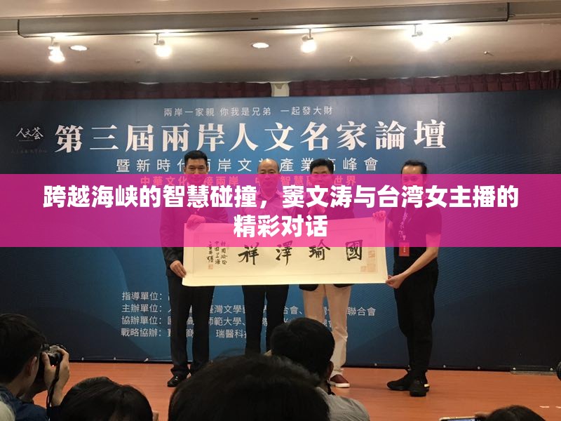 跨越海峽的智慧碰撞，竇文濤與臺(tái)灣女主播的精彩對(duì)話