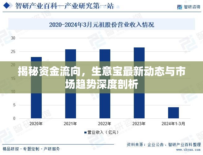 揭秘資金流向，生意寶最新動態(tài)與市場趨勢深度剖析