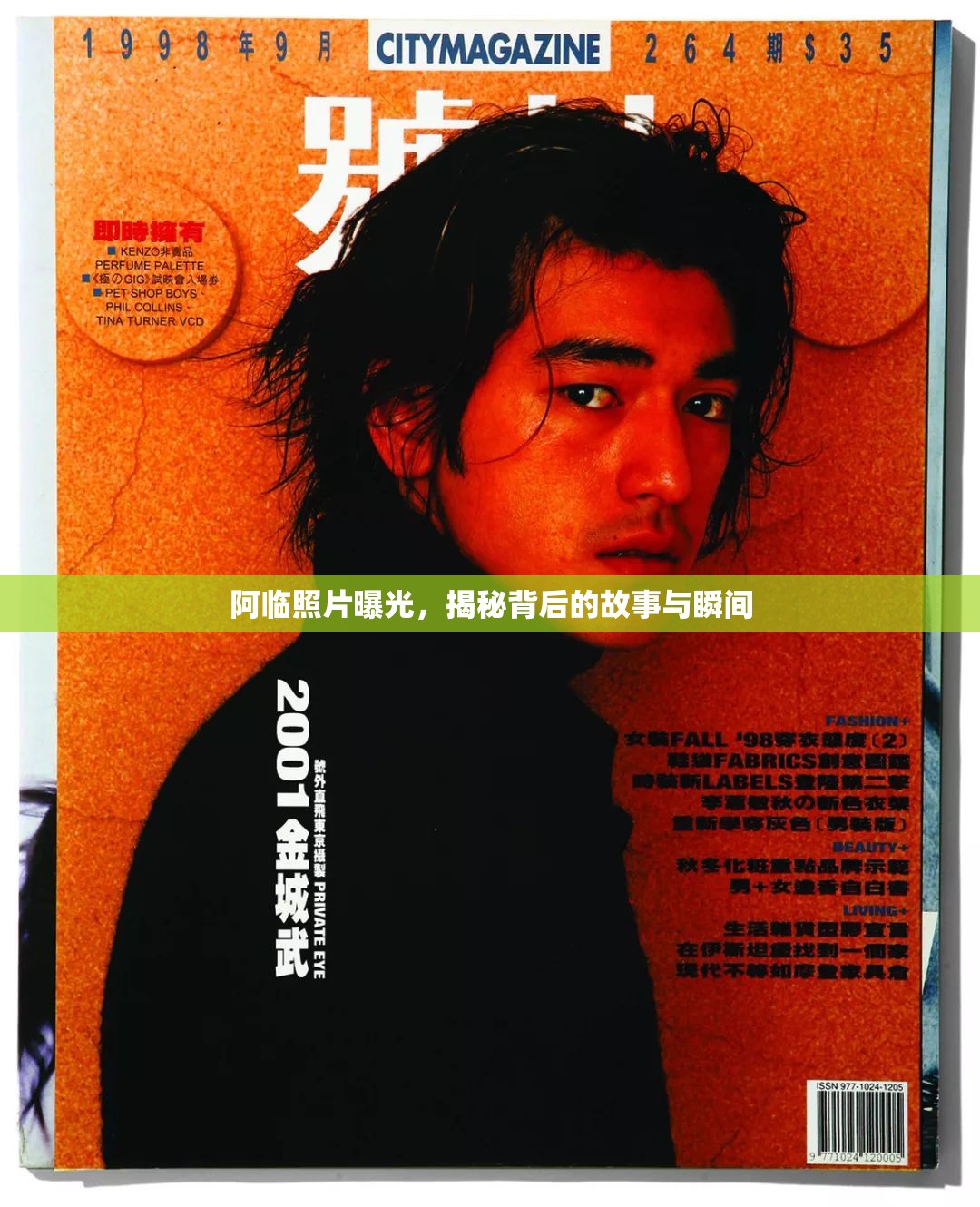 阿臨照片曝光，揭秘背后的故事與瞬間