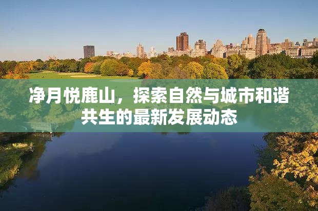 凈月悅鹿山，探索自然與城市和諧共生的最新發(fā)展動態(tài)