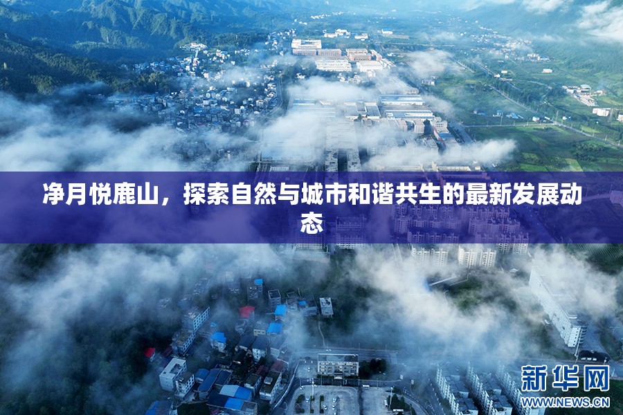 凈月悅鹿山，探索自然與城市和諧共生的最新發(fā)展動態(tài)