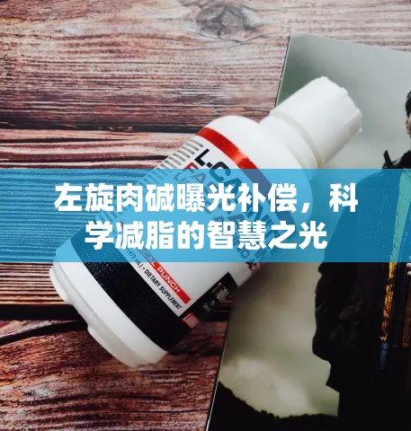 左旋肉堿曝光補(bǔ)償，科學(xué)減脂的智慧之光