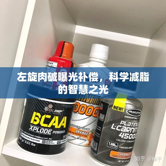 左旋肉堿曝光補(bǔ)償，科學(xué)減脂的智慧之光