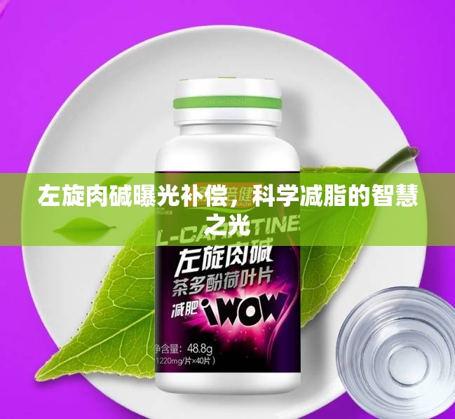 左旋肉堿曝光補(bǔ)償，科學(xué)減脂的智慧之光