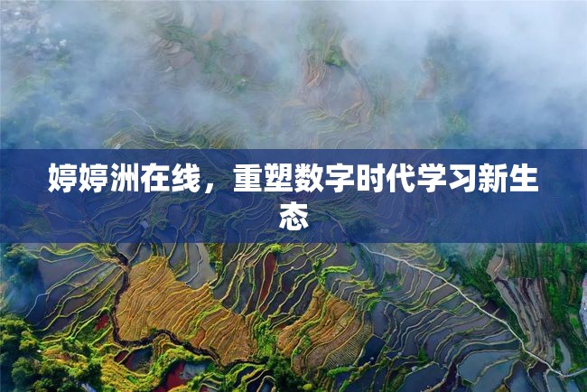 婷婷洲在線(xiàn)，重塑數(shù)字時(shí)代學(xué)習(xí)新生態(tài)