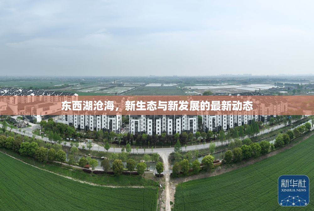 東西湖滄海，新生態(tài)與新發(fā)展的最新動(dòng)態(tài)
