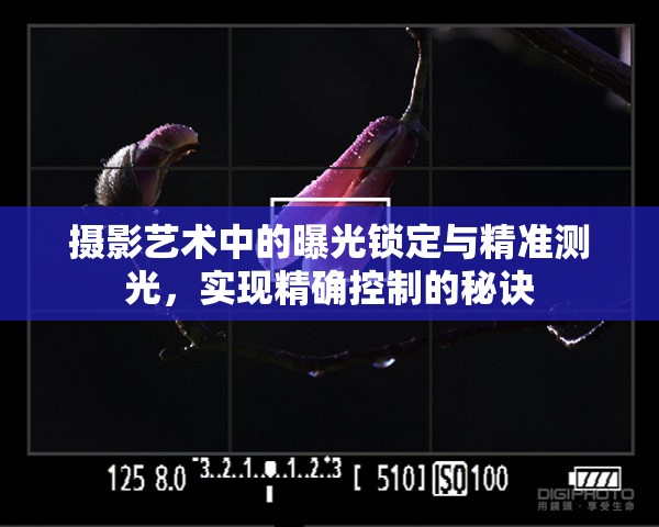 攝影藝術(shù)中的曝光鎖定與精準(zhǔn)測(cè)光，實(shí)現(xiàn)精確控制的秘訣
