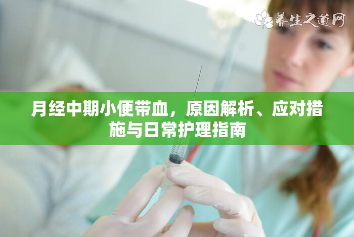 月經(jīng)中期小便帶血，原因解析、應(yīng)對(duì)措施與日常護(hù)理指南