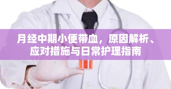 月經(jīng)中期小便帶血，原因解析、應(yīng)對(duì)措施與日常護(hù)理指南
