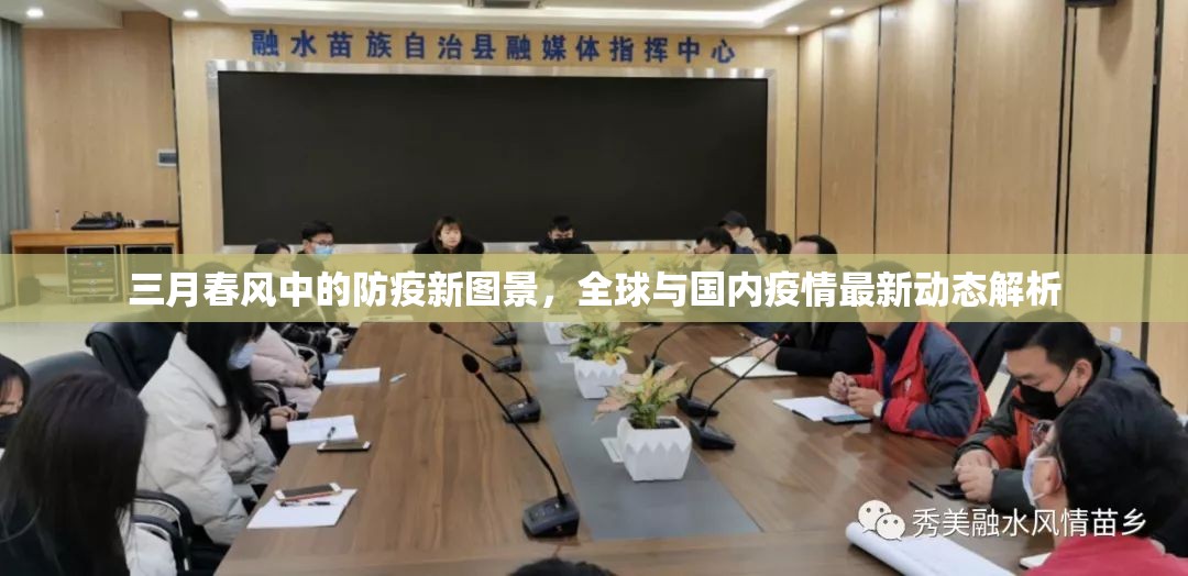 三月春風(fēng)中的防疫新圖景，全球與國內(nèi)疫情最新動態(tài)解析