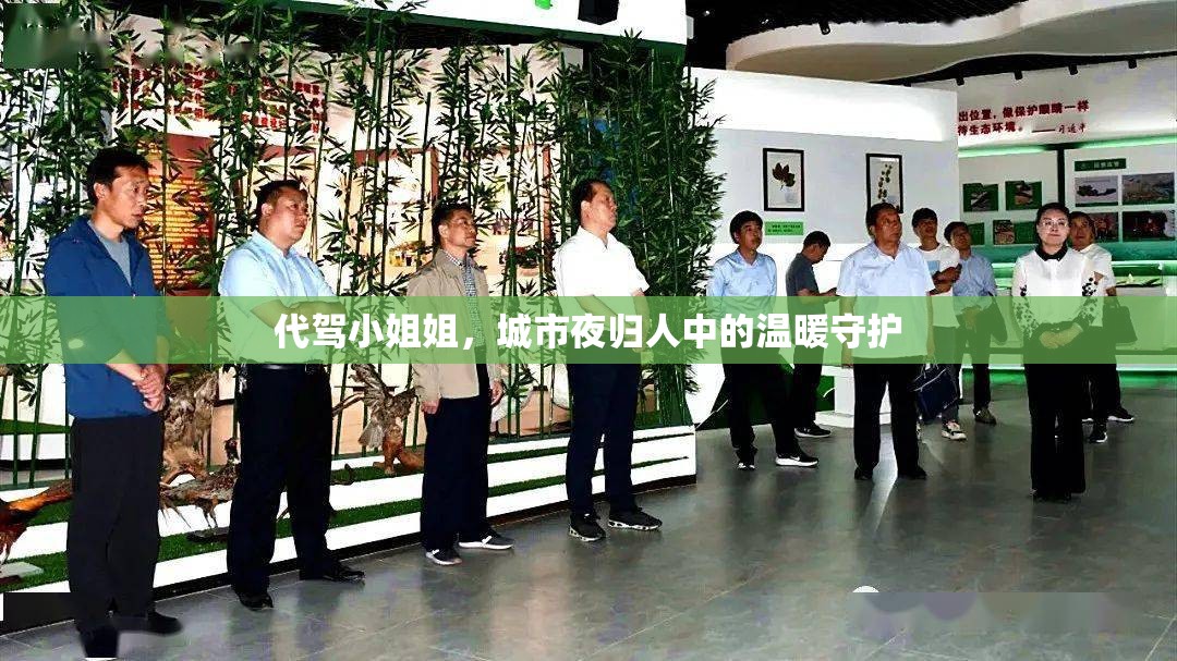 代駕小姐姐，城市夜歸人中的溫暖守護(hù)