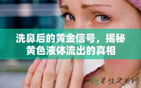 洗鼻后的黃金信號(hào)，揭秘黃色液體流出的真相