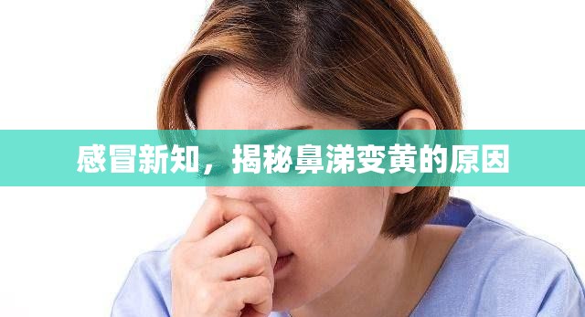感冒新知，揭秘鼻涕變黃的原因