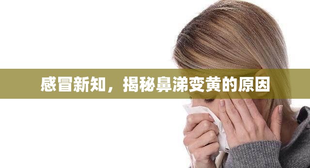 感冒新知，揭秘鼻涕變黃的原因