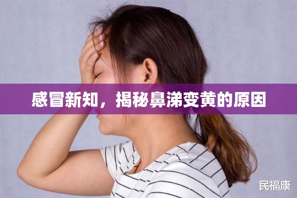感冒新知，揭秘鼻涕變黃的原因
