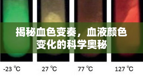 揭秘血色變奏，血液顏色變化的科學(xué)奧秘