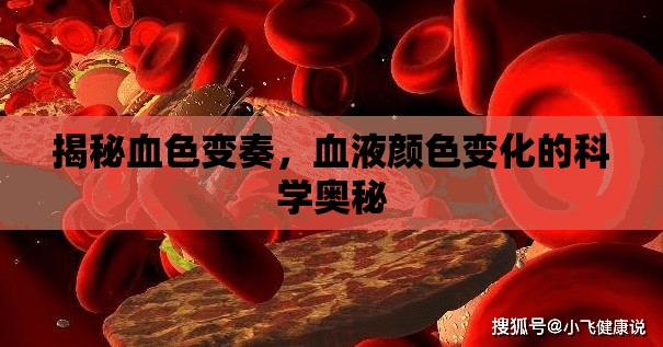 揭秘血色變奏，血液顏色變化的科學(xué)奧秘