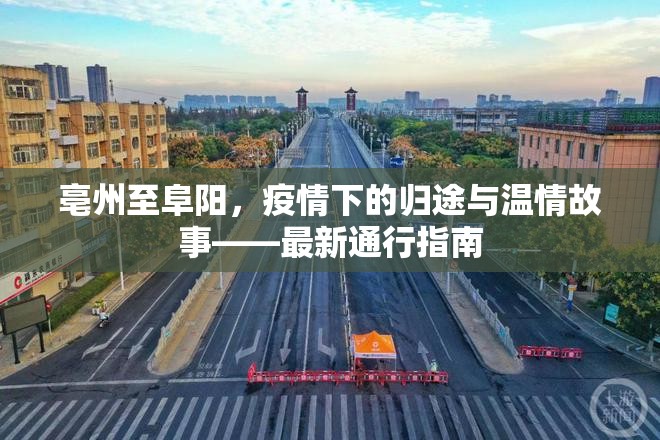 亳州至阜陽，疫情下的歸途與溫情故事——最新通行指南