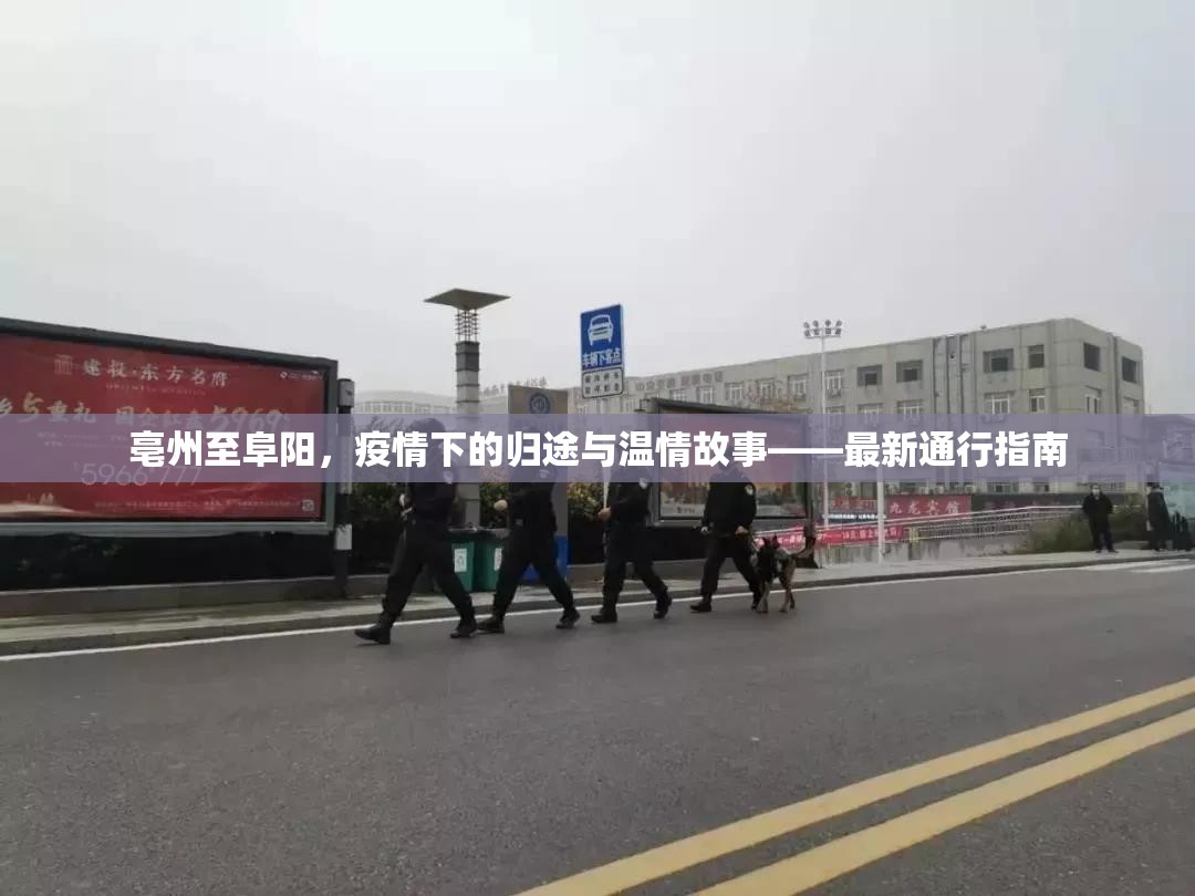 亳州至阜陽，疫情下的歸途與溫情故事——最新通行指南