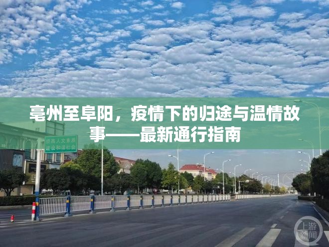 亳州至阜陽，疫情下的歸途與溫情故事——最新通行指南