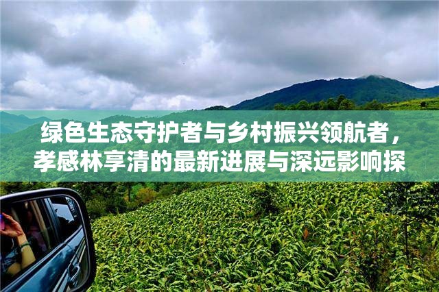 綠色生態(tài)守護(hù)者與鄉(xiāng)村振興領(lǐng)航者，孝感林享清的最新進(jìn)展與深遠(yuǎn)影響探析
