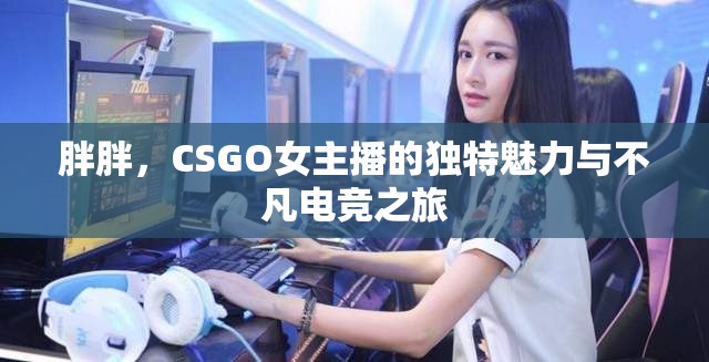 胖胖，CSGO女主播的獨(dú)特魅力與不凡電競(jìng)之旅