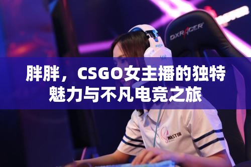 胖胖，CSGO女主播的獨(dú)特魅力與不凡電競(jìng)之旅