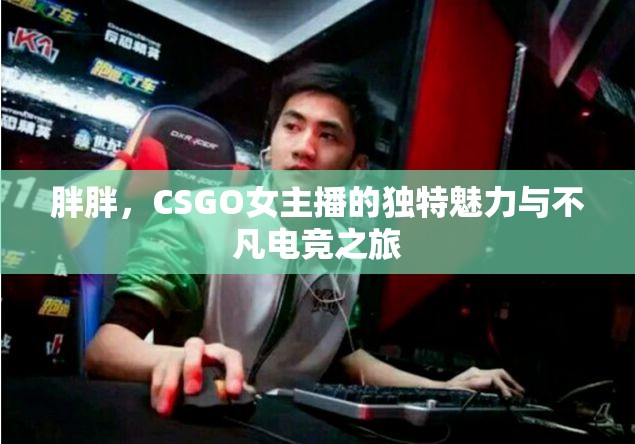 胖胖，CSGO女主播的獨(dú)特魅力與不凡電競(jìng)之旅