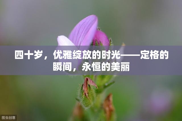 四十歲，優(yōu)雅綻放的時(shí)光——定格的瞬間，永恒的美麗