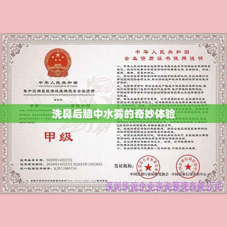 洗鼻后腦中水霧的奇妙體驗