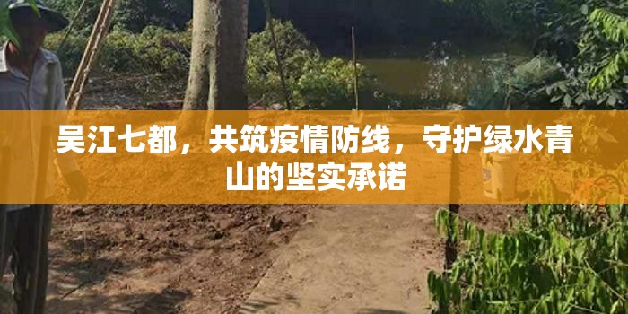 吳江七都，共筑疫情防線，守護綠水青山的堅實承諾