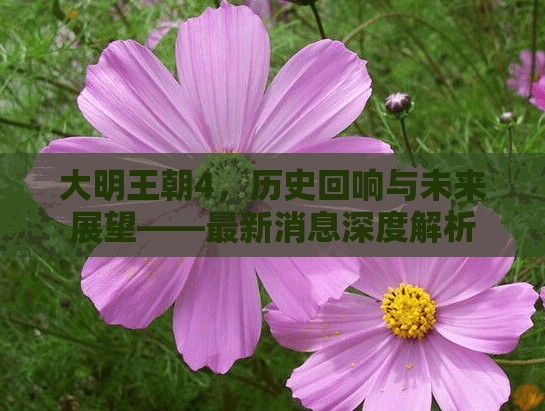 大明王朝4，歷史回響與未來展望——最新消息深度解析
