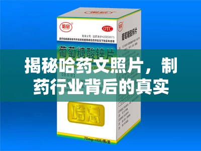 揭秘哈藥文照片，制藥行業(yè)背后的真實(shí)與挑戰(zhàn)