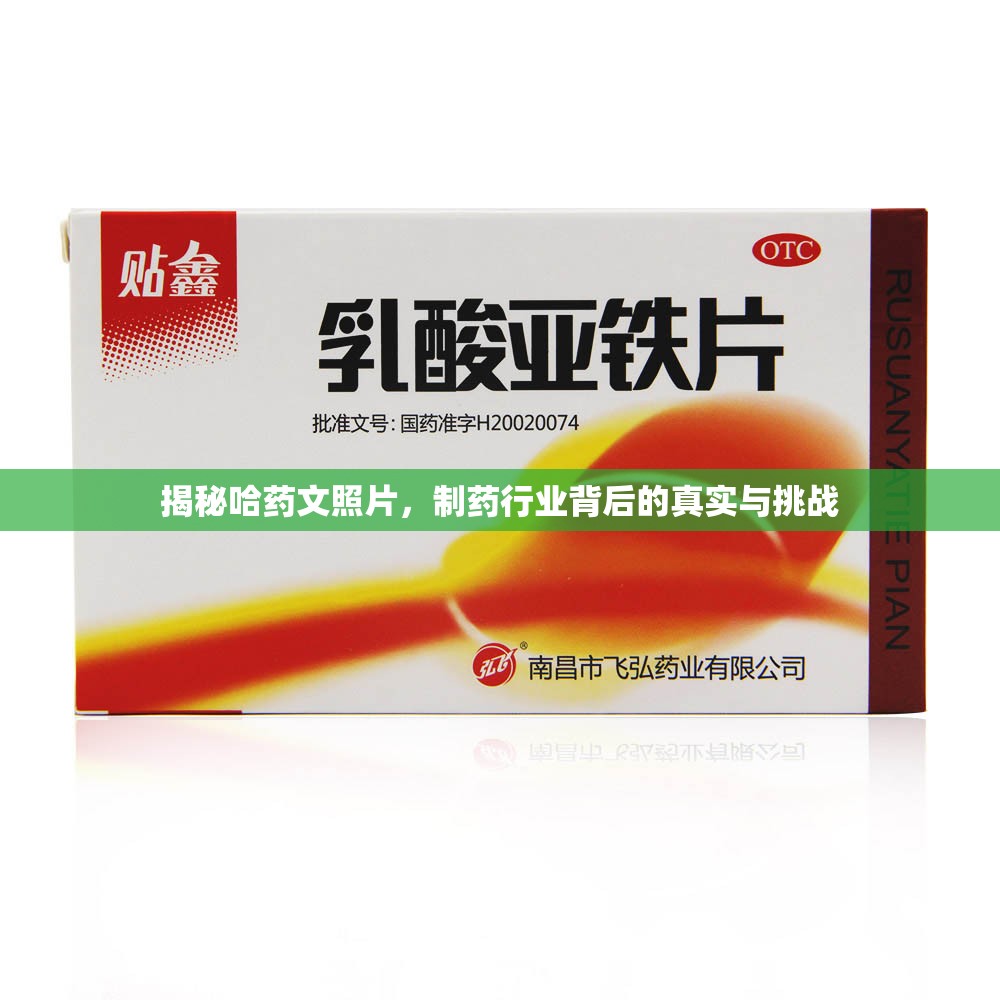 揭秘哈藥文照片，制藥行業(yè)背后的真實(shí)與挑戰(zhàn)