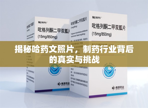揭秘哈藥文照片，制藥行業(yè)背后的真實(shí)與挑戰(zhàn)
