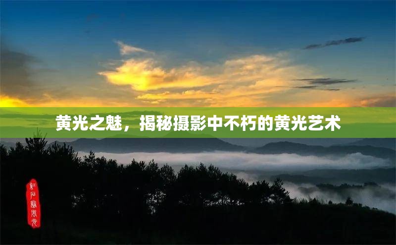 黃光之魅，揭秘攝影中不朽的黃光藝術