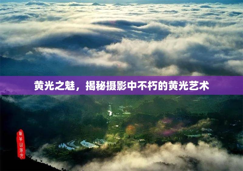 黃光之魅，揭秘攝影中不朽的黃光藝術