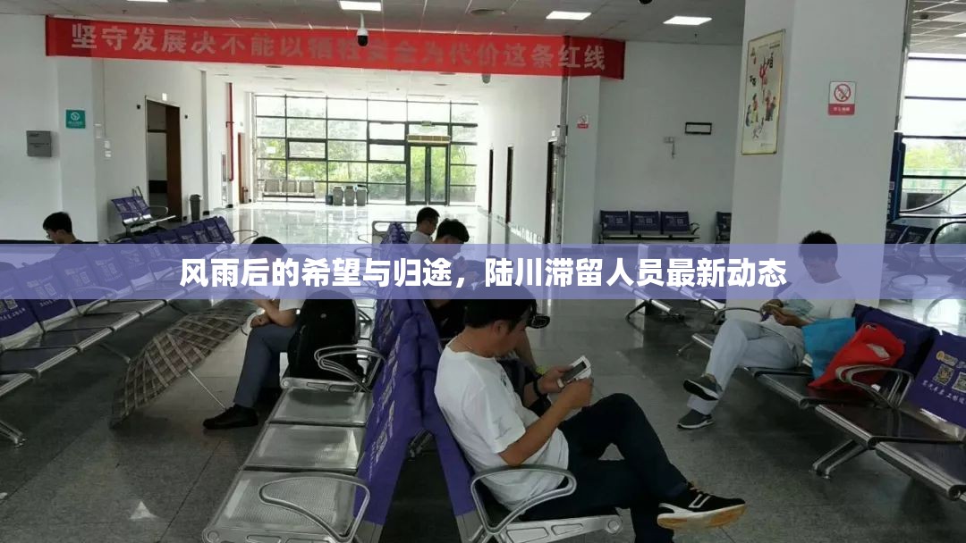 風(fēng)雨后的希望與歸途，陸川滯留人員最新動態(tài)
