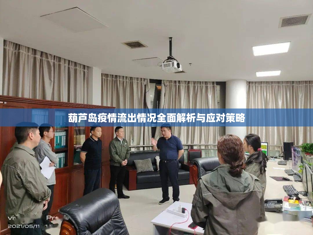 葫蘆島疫情流出情況全面解析與應(yīng)對(duì)策略