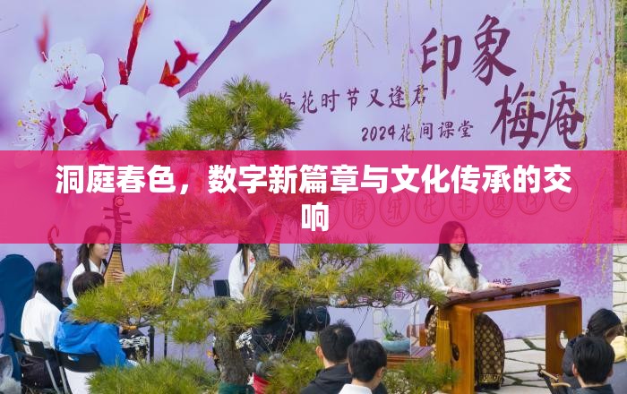 洞庭春色，數(shù)字新篇章與文化傳承的交響