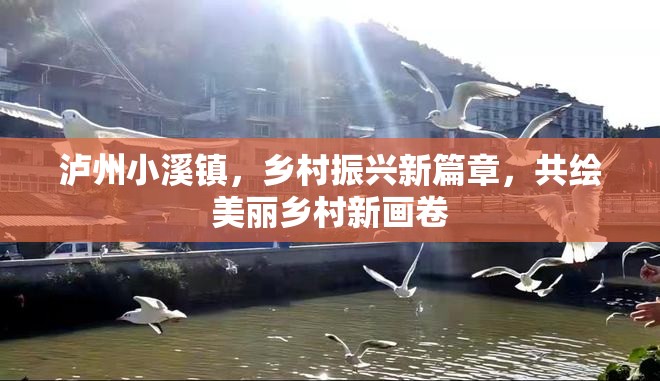 瀘州小溪鎮(zhèn)，鄉(xiāng)村振興新篇章，共繪美麗鄉(xiāng)村新畫卷
