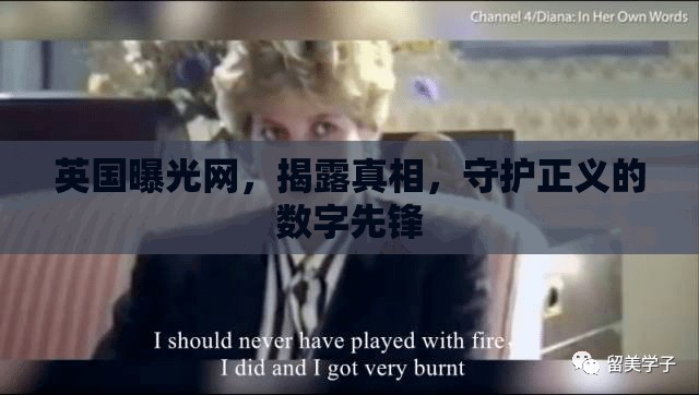 英國曝光網(wǎng)，揭露真相，守護(hù)正義的數(shù)字先鋒