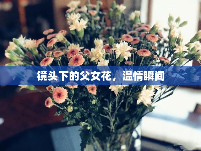鏡頭下的父女花，溫情瞬間
