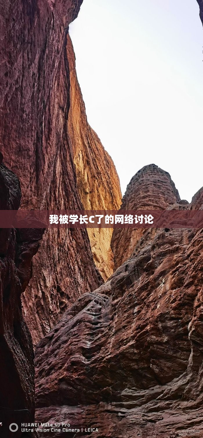 我被學(xué)長C了的網(wǎng)絡(luò)討論